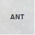 Ant
